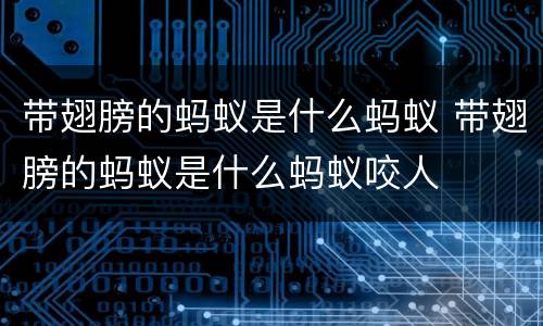带翅膀的蚂蚁是什么蚂蚁 带翅膀的蚂蚁是什么蚂蚁咬人