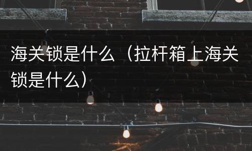 海关锁是什么（拉杆箱上海关锁是什么）