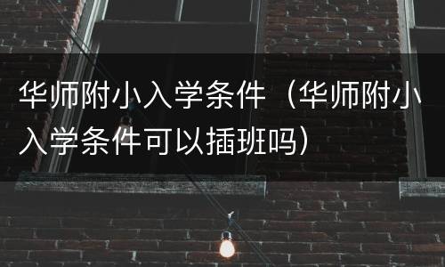 华师附小入学条件（华师附小入学条件可以插班吗）