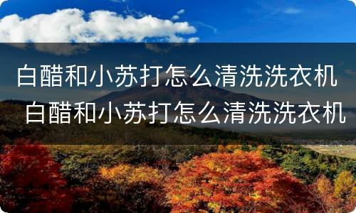 白醋和小苏打怎么清洗洗衣机 白醋和小苏打怎么清洗洗衣机滚筒的