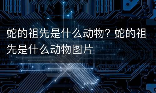蛇的祖先是什么动物? 蛇的祖先是什么动物图片