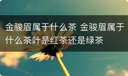 金骏眉属于什么茶 金骏眉属于什么茶叶是红茶还是绿茶