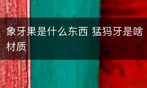 象牙果是什么东西 猛犸牙是啥材质