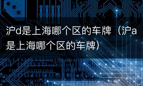 沪d是上海哪个区的车牌（沪a是上海哪个区的车牌）