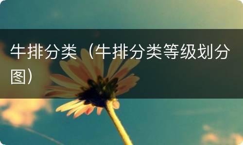 牛排分类（牛排分类等级划分图）