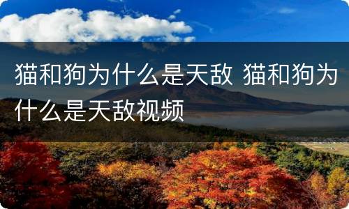 猫和狗为什么是天敌 猫和狗为什么是天敌视频