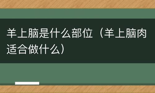 羊上脑是什么部位（羊上脑肉适合做什么）