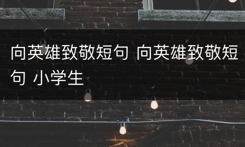 向英雄致敬短句 向英雄致敬短句 小学生