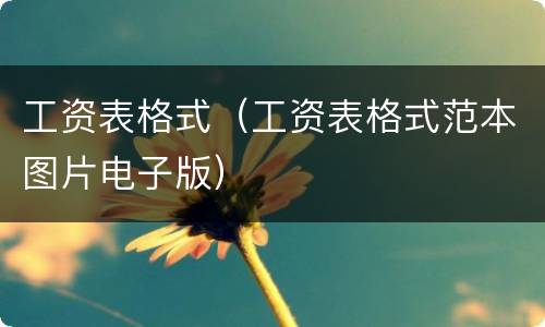 工资表格式（工资表格式范本图片电子版）