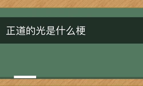 正道的光是什么梗