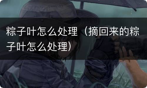 粽子叶怎么处理（摘回来的粽子叶怎么处理）