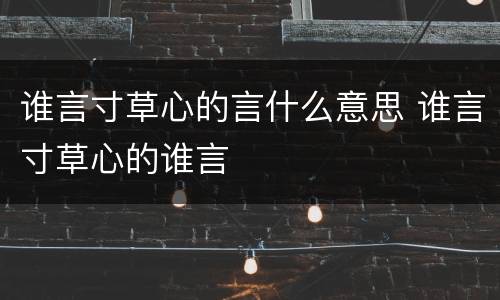 谁言寸草心的言什么意思 谁言寸草心的谁言