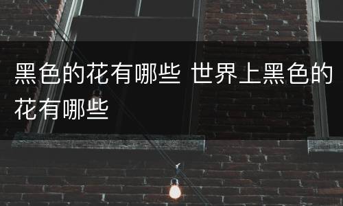 黑色的花有哪些 世界上黑色的花有哪些