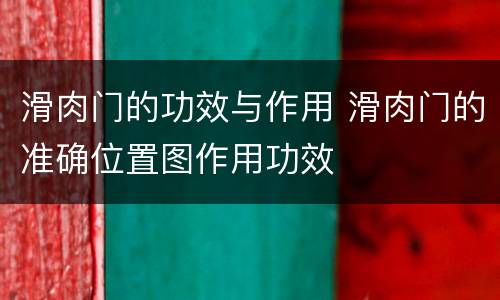 滑肉门的功效与作用 滑肉门的准确位置图作用功效