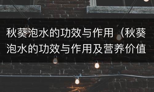 秋葵泡水的功效与作用（秋葵泡水的功效与作用及营养价值）