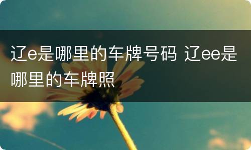 辽e是哪里的车牌号码 辽ee是哪里的车牌照