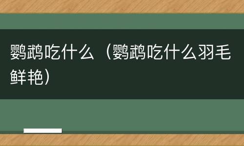 鹦鹉吃什么（鹦鹉吃什么羽毛鲜艳）