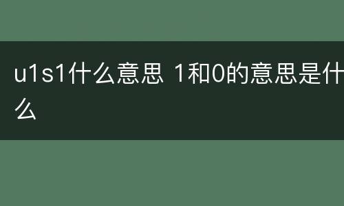 u1s1什么意思 1和0的意思是什么