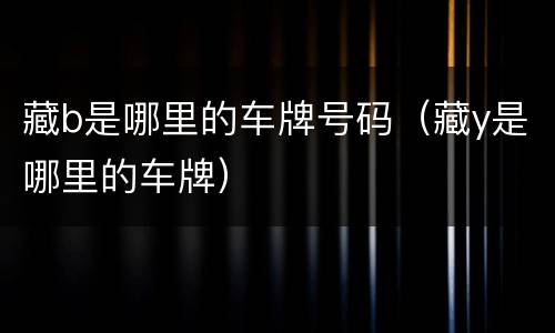 藏b是哪里的车牌号码（藏y是哪里的车牌）