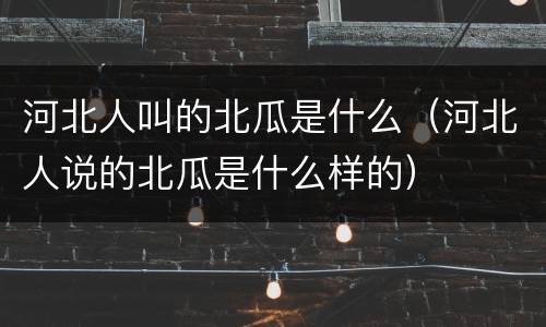 河北人叫的北瓜是什么（河北人说的北瓜是什么样的）