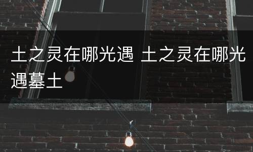 土之灵在哪光遇 土之灵在哪光遇墓土