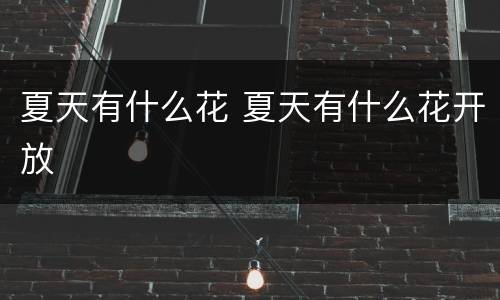 夏天有什么花 夏天有什么花开放