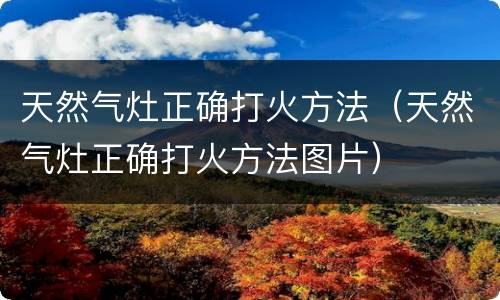 天然气灶正确打火方法（天然气灶正确打火方法图片）