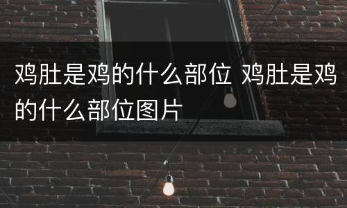 鸡肚是鸡的什么部位 鸡肚是鸡的什么部位图片