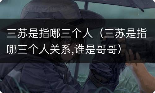 三苏是指哪三个人（三苏是指哪三个人关系,谁是哥哥）