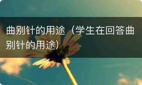 曲别针的用途（学生在回答曲别针的用途）