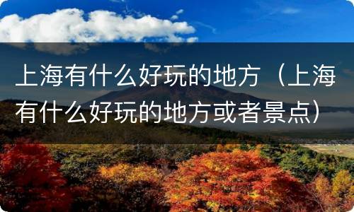 上海有什么好玩的地方（上海有什么好玩的地方或者景点）