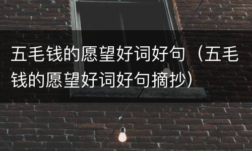 五毛钱的愿望好词好句（五毛钱的愿望好词好句摘抄）