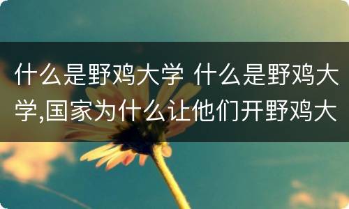 什么是野鸡大学 什么是野鸡大学,国家为什么让他们开野鸡大学?