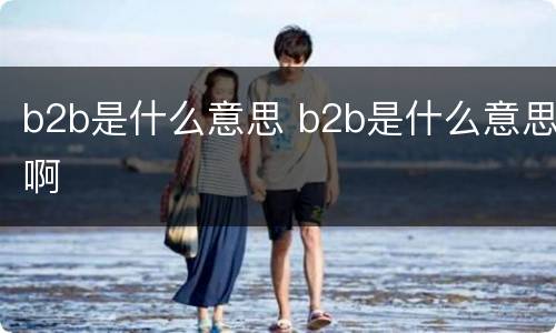 b2b是什么意思 b2b是什么意思啊