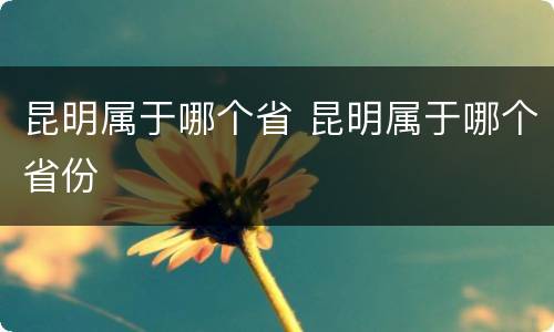 昆明属于哪个省 昆明属于哪个省份