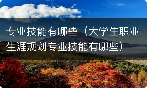 专业技能有哪些（大学生职业生涯规划专业技能有哪些）