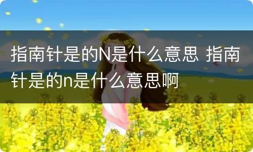 指南针是的N是什么意思 指南针是的n是什么意思啊