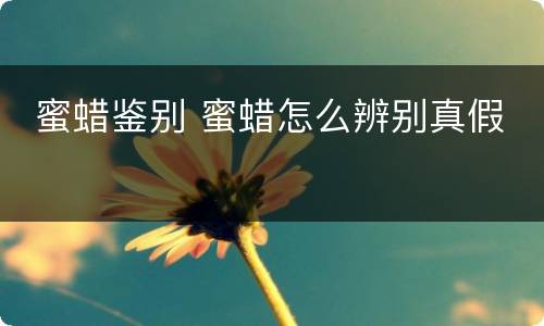  蜜蜡鉴别 蜜蜡怎么辨别真假