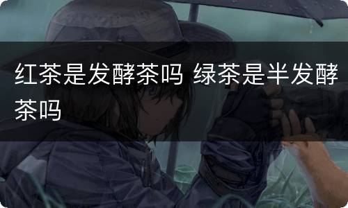 红茶是发酵茶吗 绿茶是半发酵茶吗