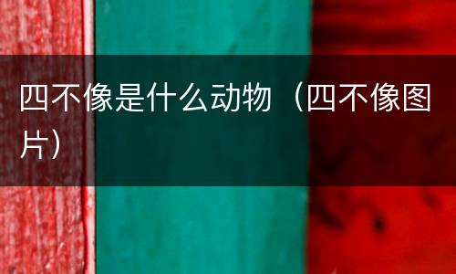 四不像是什么动物（四不像图片）