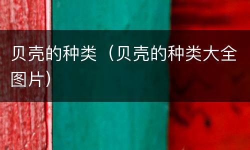 贝壳的种类（贝壳的种类大全图片）