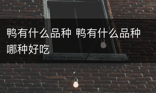 鸭有什么品种 鸭有什么品种 哪种好吃