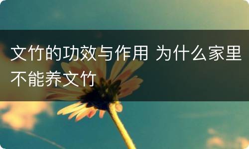 文竹的功效与作用 为什么家里不能养文竹