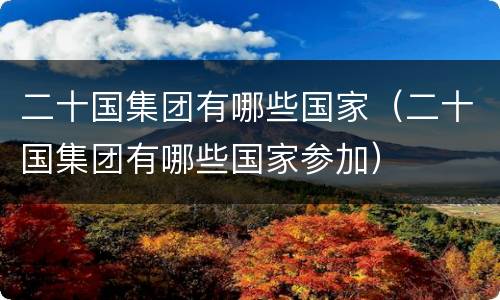 二十国集团有哪些国家（二十国集团有哪些国家参加）