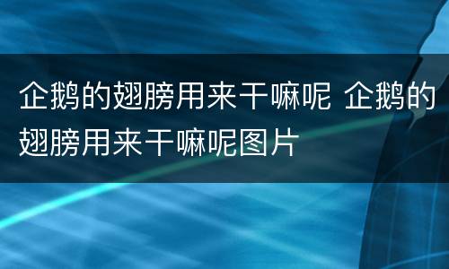 企鹅的翅膀用来干嘛呢 企鹅的翅膀用来干嘛呢图片