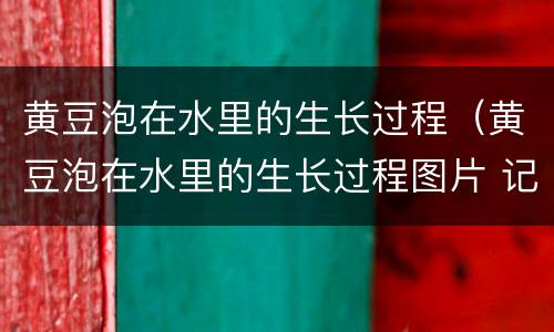 黄豆泡在水里的生长过程（黄豆泡在水里的生长过程图片 记录）