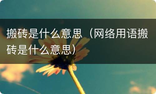 搬砖是什么意思（网络用语搬砖是什么意思）