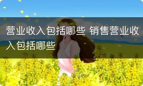 营业收入包括哪些 销售营业收入包括哪些