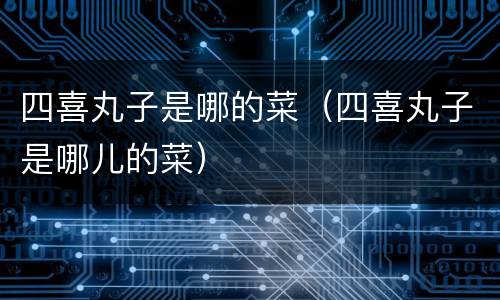 四喜丸子是哪的菜（四喜丸子是哪儿的菜）