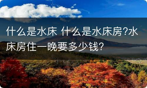 什么是水床 什么是水床房?水床房住一晚要多少钱?